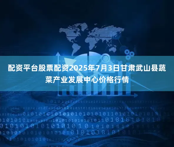 配资平台股票配资2025年7月3日甘肃武山县蔬菜产业发展中心价格行情