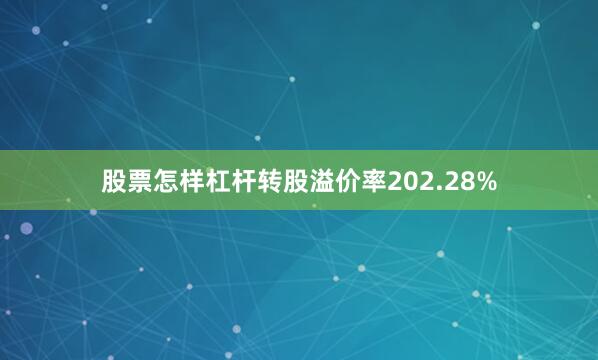 股票怎样杠杆转股溢价率202.28%