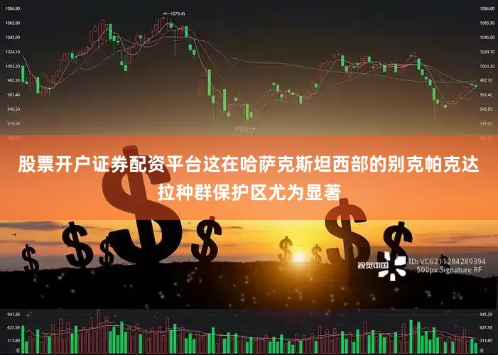 股票开户证券配资平台这在哈萨克斯坦西部的别克帕克达拉种群保护区尤为显著
