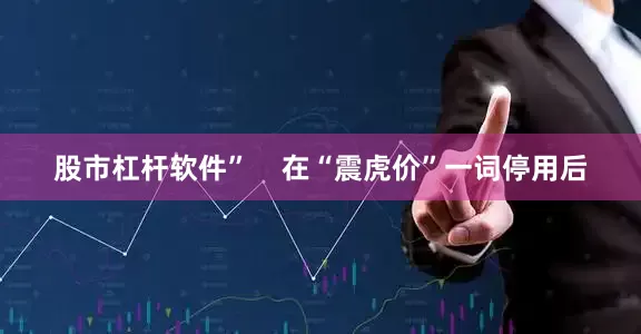 股市杠杆软件”    在“震虎价”一词停用后