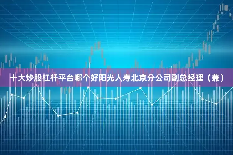 十大炒股杠杆平台哪个好阳光人寿北京分公司副总经理（兼）